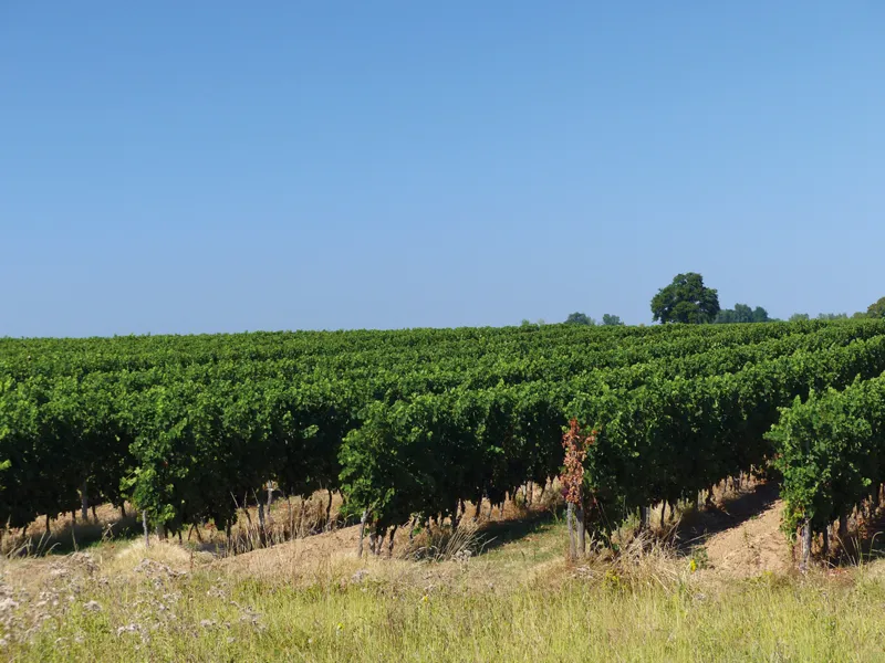 Cicerone - Cycling The Canal De La Garonne - Declan Lyons-6